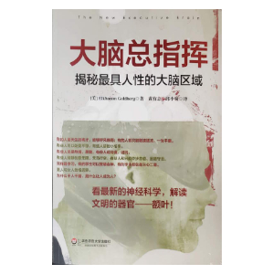 Simplified Chinese edition of The Executive Brain by Elkhonon Goldberg, titled 大脑总指挥